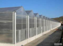 阳光板温室与连栋薄膜温室大棚的区别