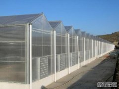 198彩注册阳光板温室主体结构