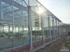 198彩玻璃温室工程施工建设的防雨措施