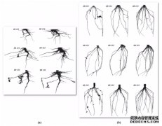 198彩注册通过X射线计算机断层扫描从数字双胞胎