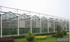 玻璃大棚栽培管理技术要点有哪些