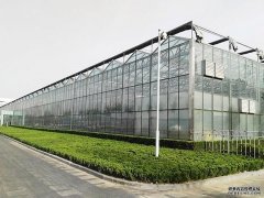 198彩代理智能玻璃温室大棚在农业种植方面如何