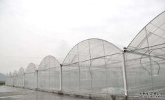198彩塑料大棚蔬菜生产高温天气的应对措施