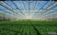 玻璃温室大棚如何通风换气、玻璃温室大棚种植