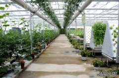 智能温室大棚在种植业上如何发挥智能温室的优