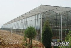 198彩注册搭建温室大棚时常规的要求和注意点有