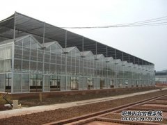 198彩注册温室大棚如何应对寒流的入侵