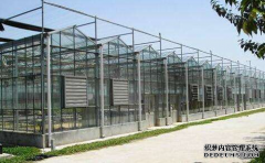 198彩了解一下造成蔬菜温室大棚土壤污染的三大