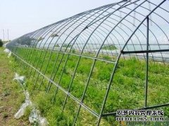 分享连栋温室大棚建设时注意的问题要点有哪些