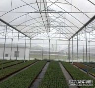 合肥长丰将试建抗雪新型草莓温室大棚