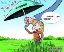 198彩代理广州赔付首笔蔬菜降雨气象指数险