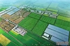 东营实现省级农业科技园区县区全覆盖