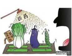 天津：使用低残留农药菜农可获补贴