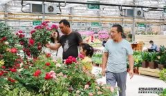 198彩代理上海市花卉产业技术体系召开花卉产业