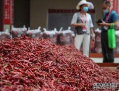 贵州（遵义）辣椒农业科技园区顺利通过验收