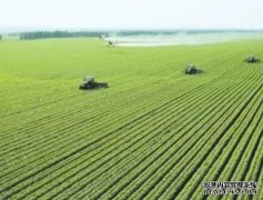 “三大支柱”撑起青海海东农业新高地