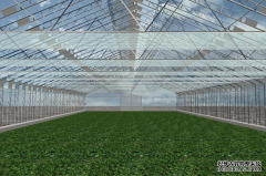 198彩一般的蔬菜温室大棚构建的降温措施有哪几