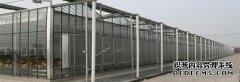 198彩代理阳光板温室大棚规划与选择
