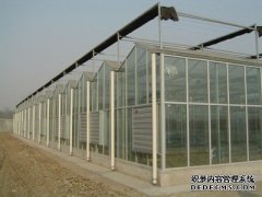 198彩代理玻璃温室大棚通风的必要性