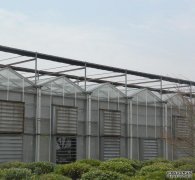 198彩玻璃温室大棚的通风降温方法